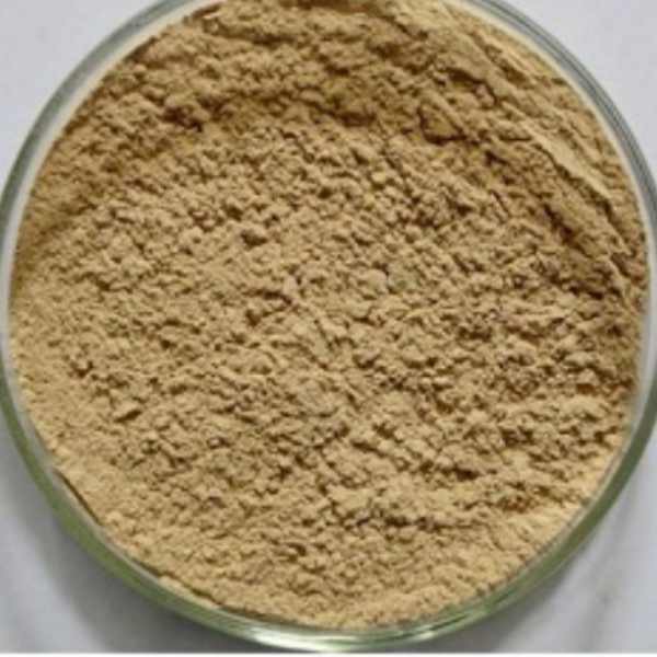 5-Amino-2-methylbenzoic Acid CAS 2840-04-2